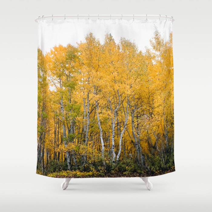 Fall Color in the Sierras Shower Curtain