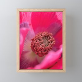 Pink Framed Mini Art Print
