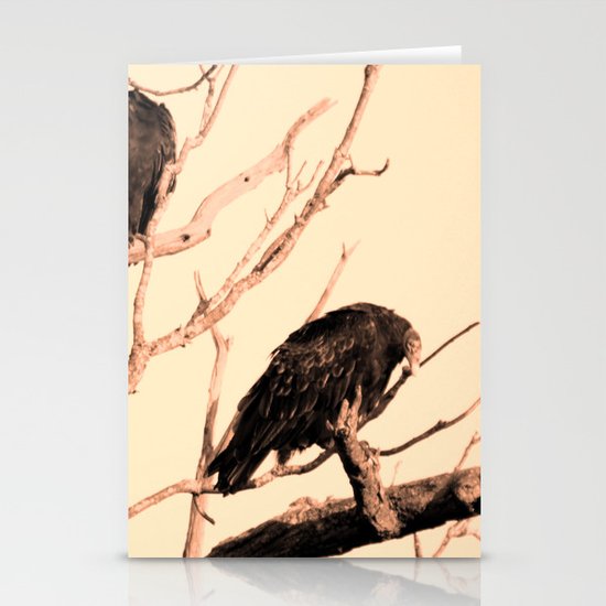 Turkey Vultures Stationery Cards