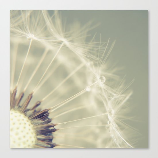 When it rains Canvas Print