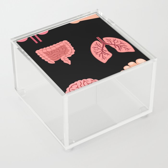 Human anatomy Acrylic Box