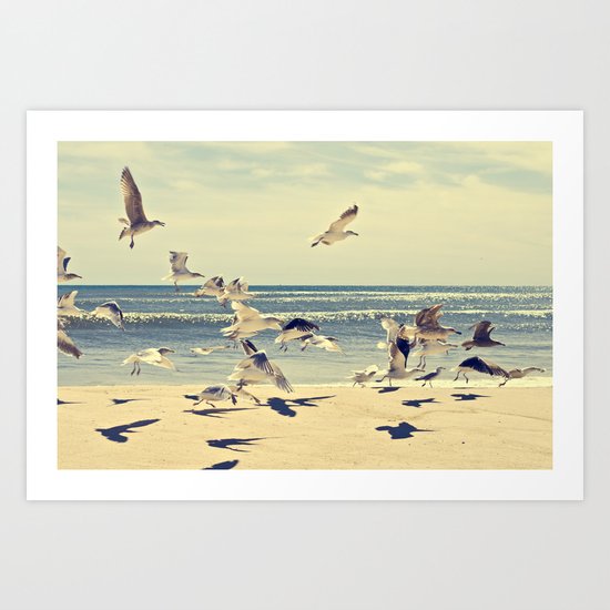 Seagulls Over Westhampton Beach Art Print