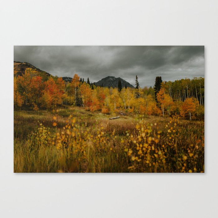 fall forest Canvas Print