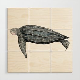 Leatherback turtle (Dermochelys coriacea) Wood Wall Art