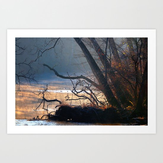 Fall misty stream Art Print