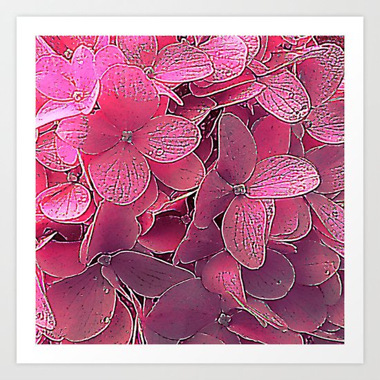 Magenta viburnum Art Print