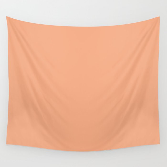 Colors of Autumn Light Apricot Orange Single Solid Color - Accent Shade / Hue / All One Colour Wall Tapestry