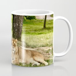 South Africa Photography - Two Beautiful Lions Laying On The Grass Mug