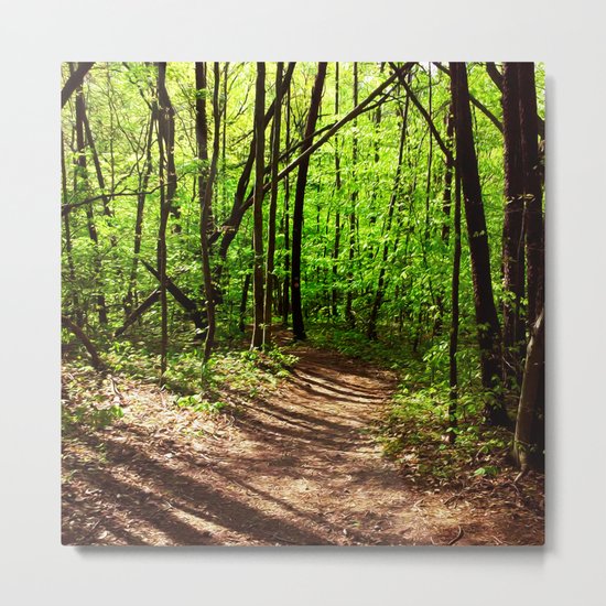 Dark Nature Metal Print