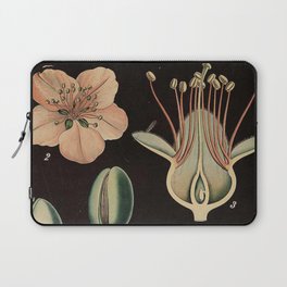 Botanical Almond Laptop Sleeve