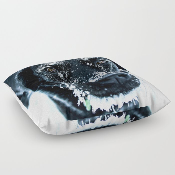 Snow Dog // Cross Country Skiing Black and White Animal Photography Winter Puppy Ice Fur Floor Pillow