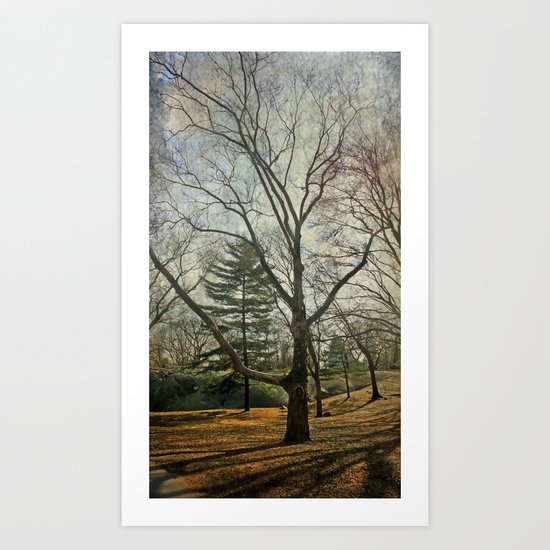 Morning Art Print