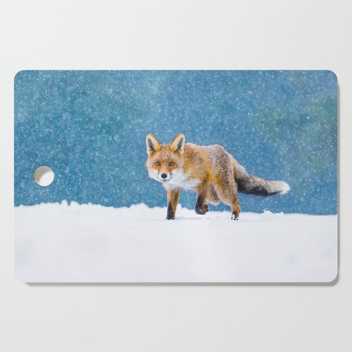 Fox in winter. Red fox, Vulpes vulpes, sniffs about prey on forest meadow in snowfall. Orange fur coat animal hunting in snow. Fox in winter nature. Wildlife scene. Habitat Europe, Asia, North America Cutting Board