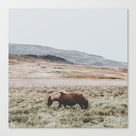 Hrútafjörður, Iceland II Canvas Print