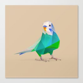 Parakeet Canvas Print