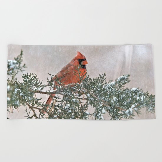 Snowfall Cardinal Beach Towel
