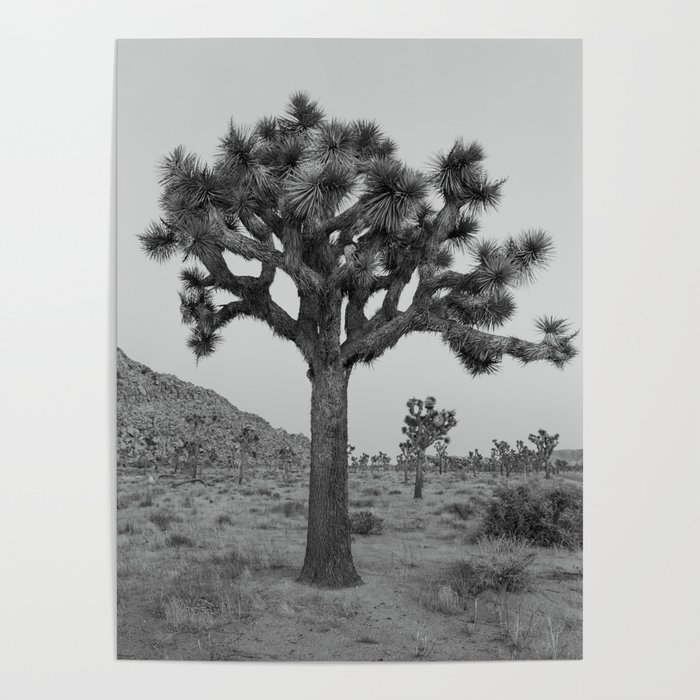 Living Mirage - Joshua Tree Poster