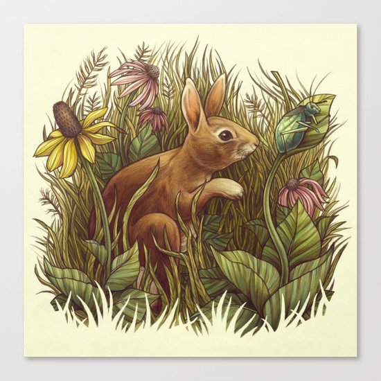 The Cottontail and the Katydid Canvas Print