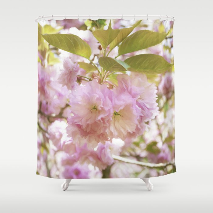 Double Cherry Blossoms With Soft Hues Of Pink Petals Shower