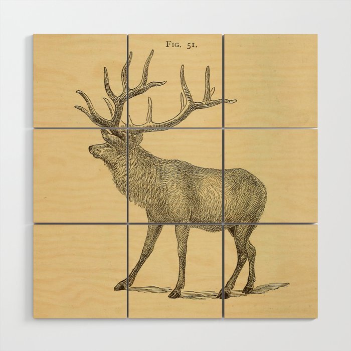 Naturalist Elk Wood Wall Art
