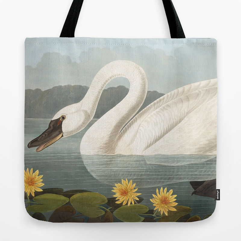 Common American Swan By John James Audubon Tote Bag By Vintage Archive Society6 Despite the ceaseless change, rotterdam remained fairly stable.