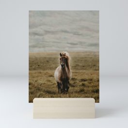Icelandic Horse Mini Art Print