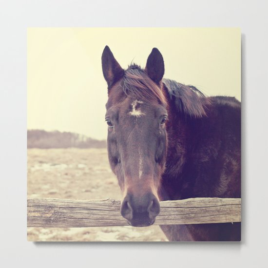 Hello Horse Metal Print