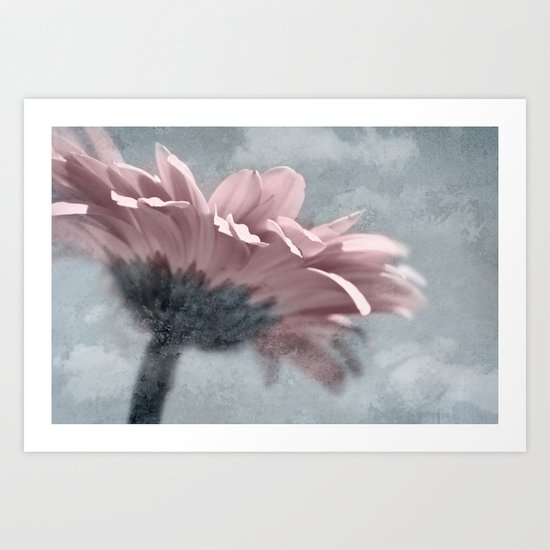 ICY GERBERA Art Print