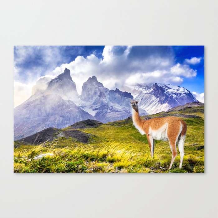 Patagonia landscape in Torres del Paine, Chile Canvas Print