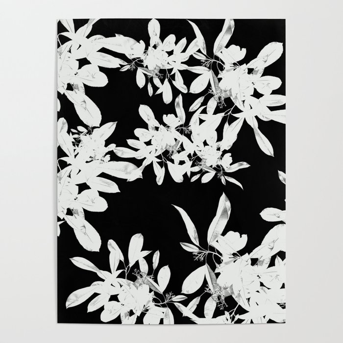Leaves in Negative Poster