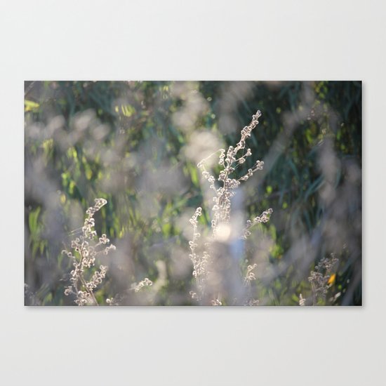 On The Sunny Side of Life Canvas Print
