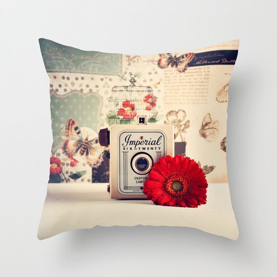 Retro Camera and Red Flower (Retro and Vintage Still Life Photography) Throw Pillow