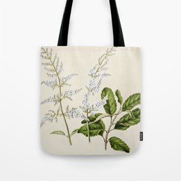 Antique plant New Zealand lilac drawn by Sarah Featon (1848-1927) Tote Bag