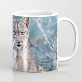 Iberian lynx in the Sierra de Andujar, Jaen. Spain. Coffee Mug