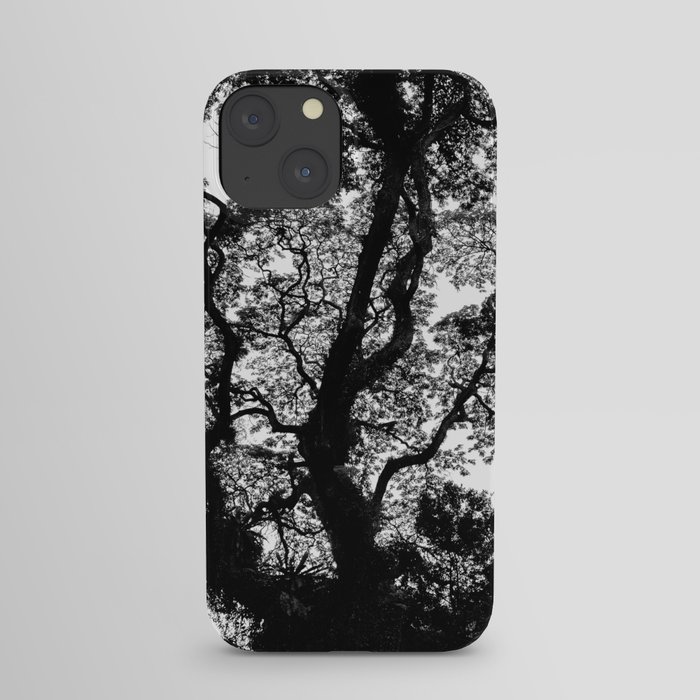 Singapore, Fort Canning. Tree Silhouette. iPhone Case