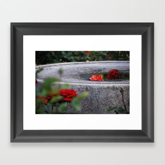 rose Framed Art Print