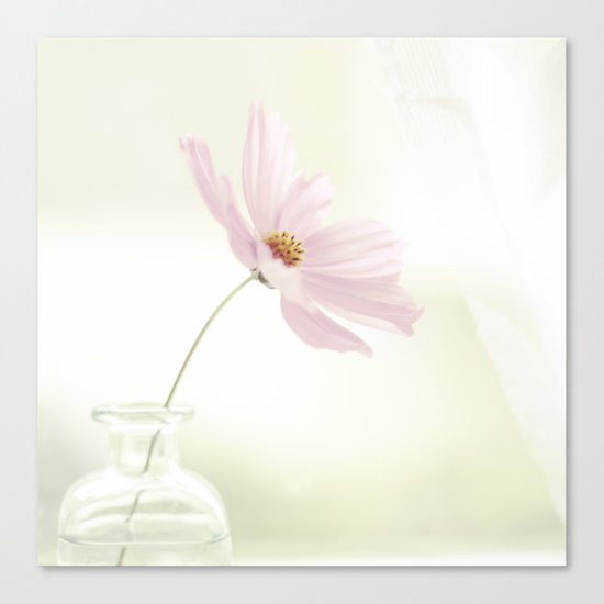 Sweet dreams Canvas Print