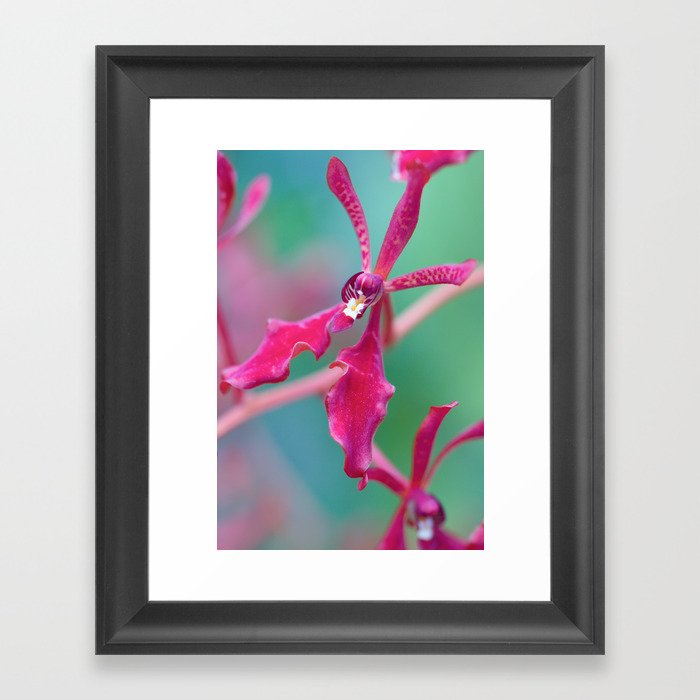 Exotic Pink Orchid In Green Framed Art Print