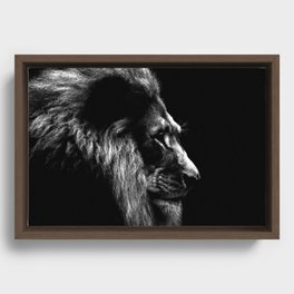Lion Framed Canvas