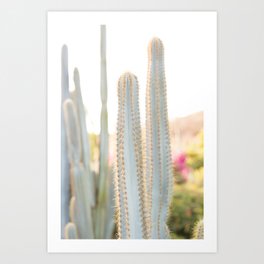 Ethereal Cacti I Art Print