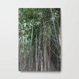 Bamboo 2 Metal Print | Photo, Nature 