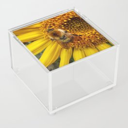 Bumblebee Sunflower Acrylic Box