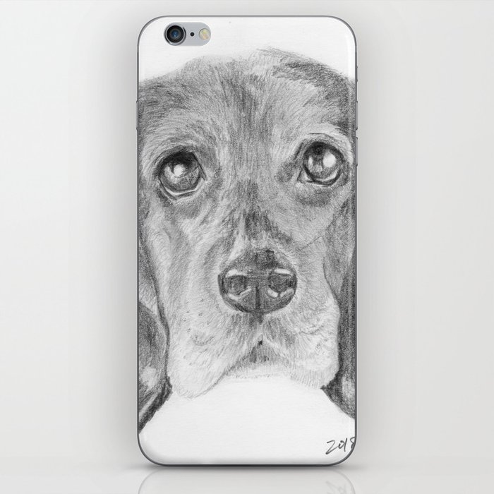 Beagle Dog Face Realistic Pencil Sketch Drawing Iphone Skin By