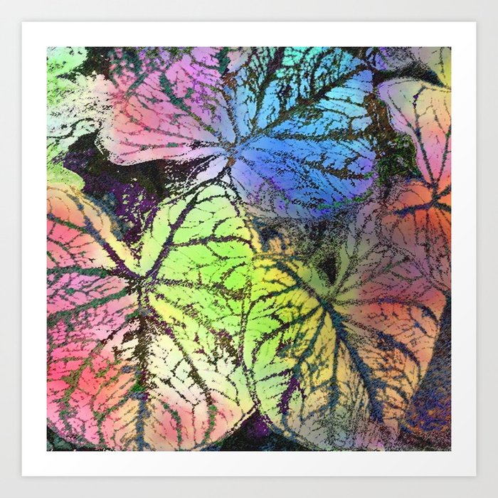 Rainbow Leaves Macro Art Print