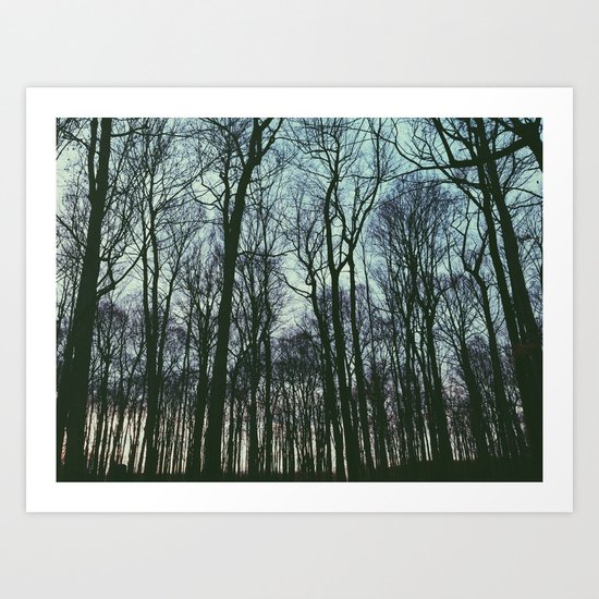 Winter Forest Art Print