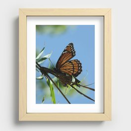 Getting Ready to Take Flight Recessed Framed Print