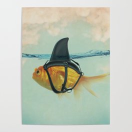 Goldfish with a Shark Fin RM02 Poster