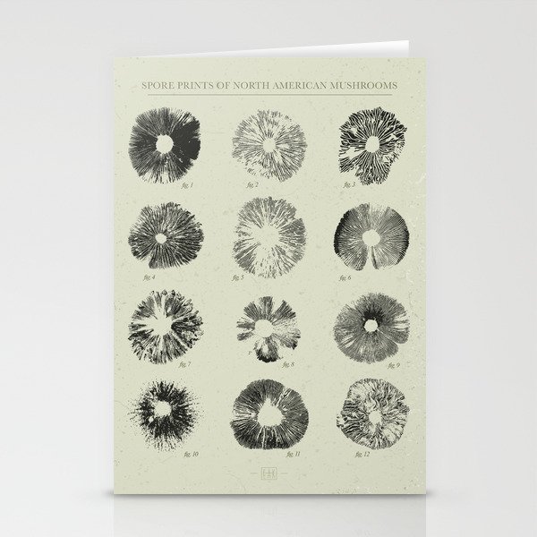 Spore Prints of North American Mushrooms (Black on White) Stationery Cards