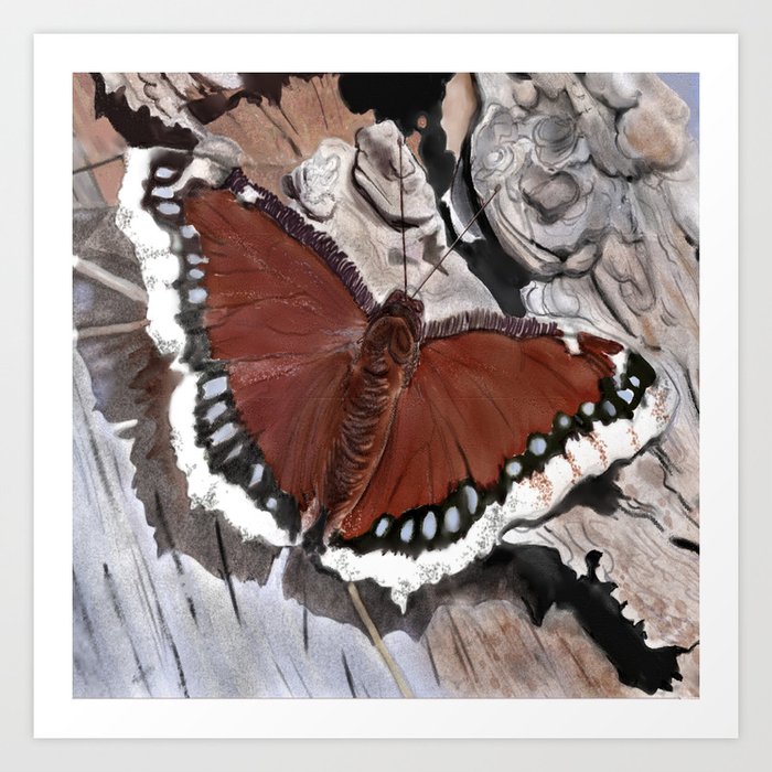 Cloak of Mourning Butterfly Art Print