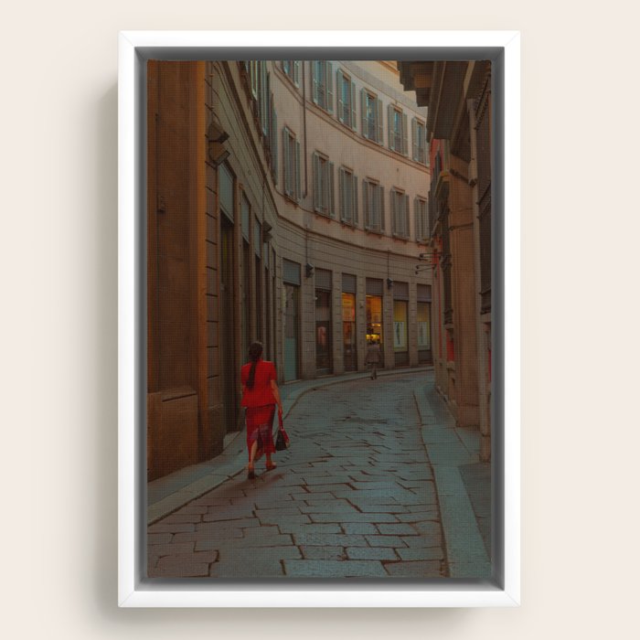 Framed Canvas